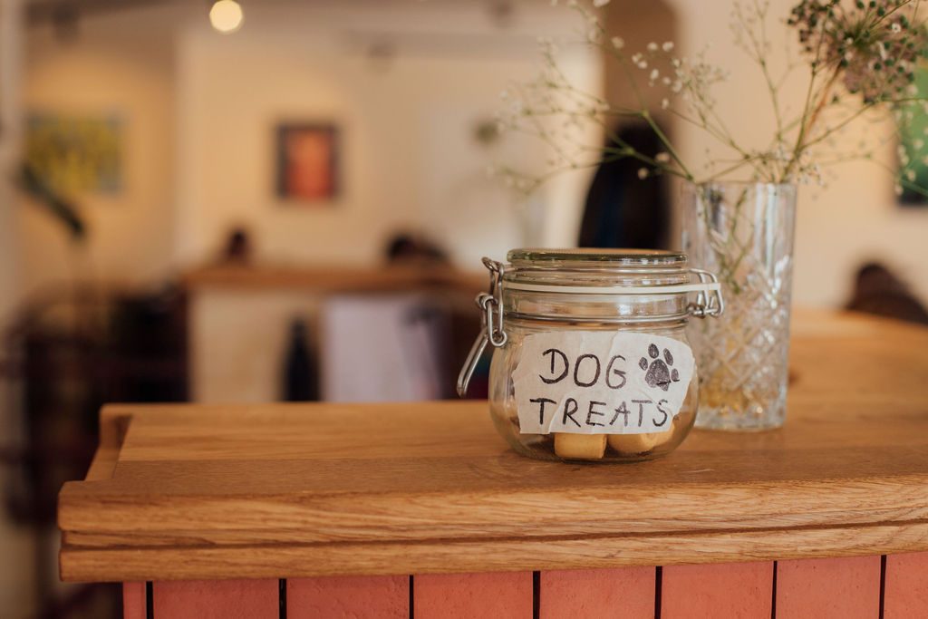 Potje met dog treats op de toonbank